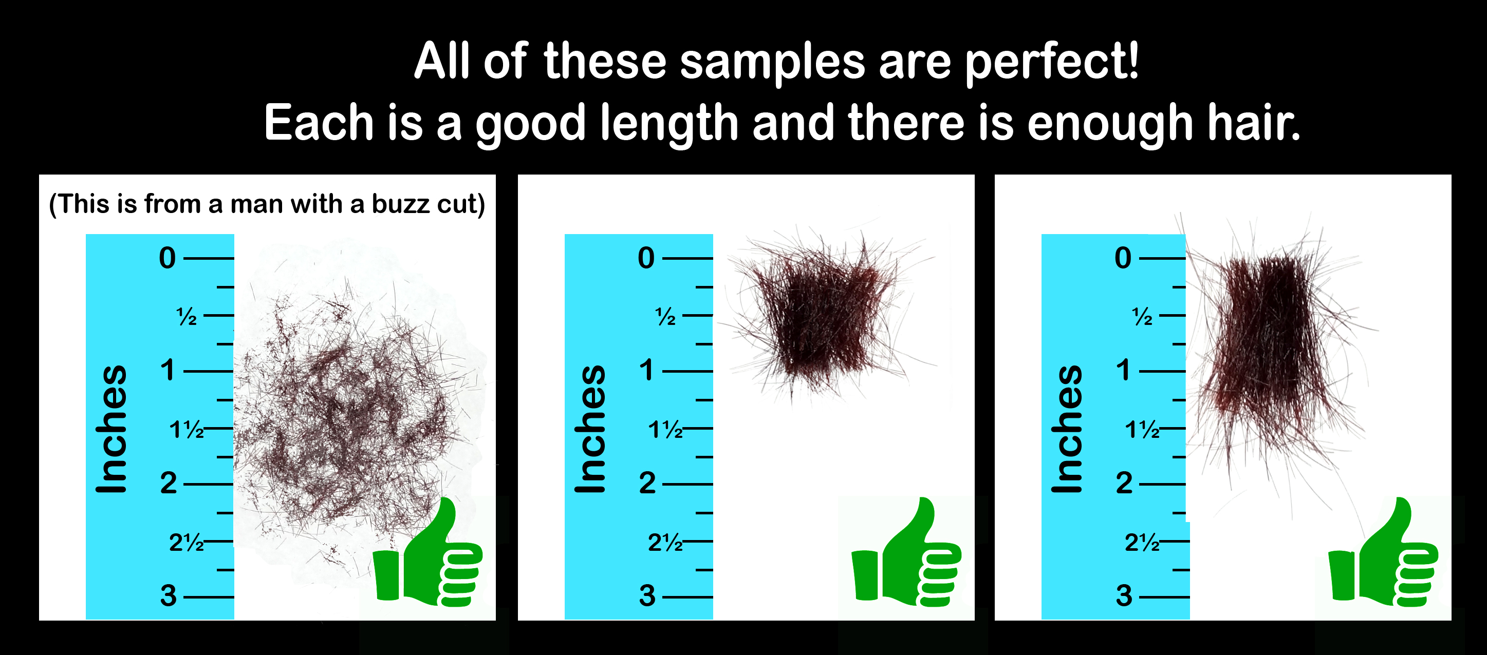 Correct Hair Sample Examples