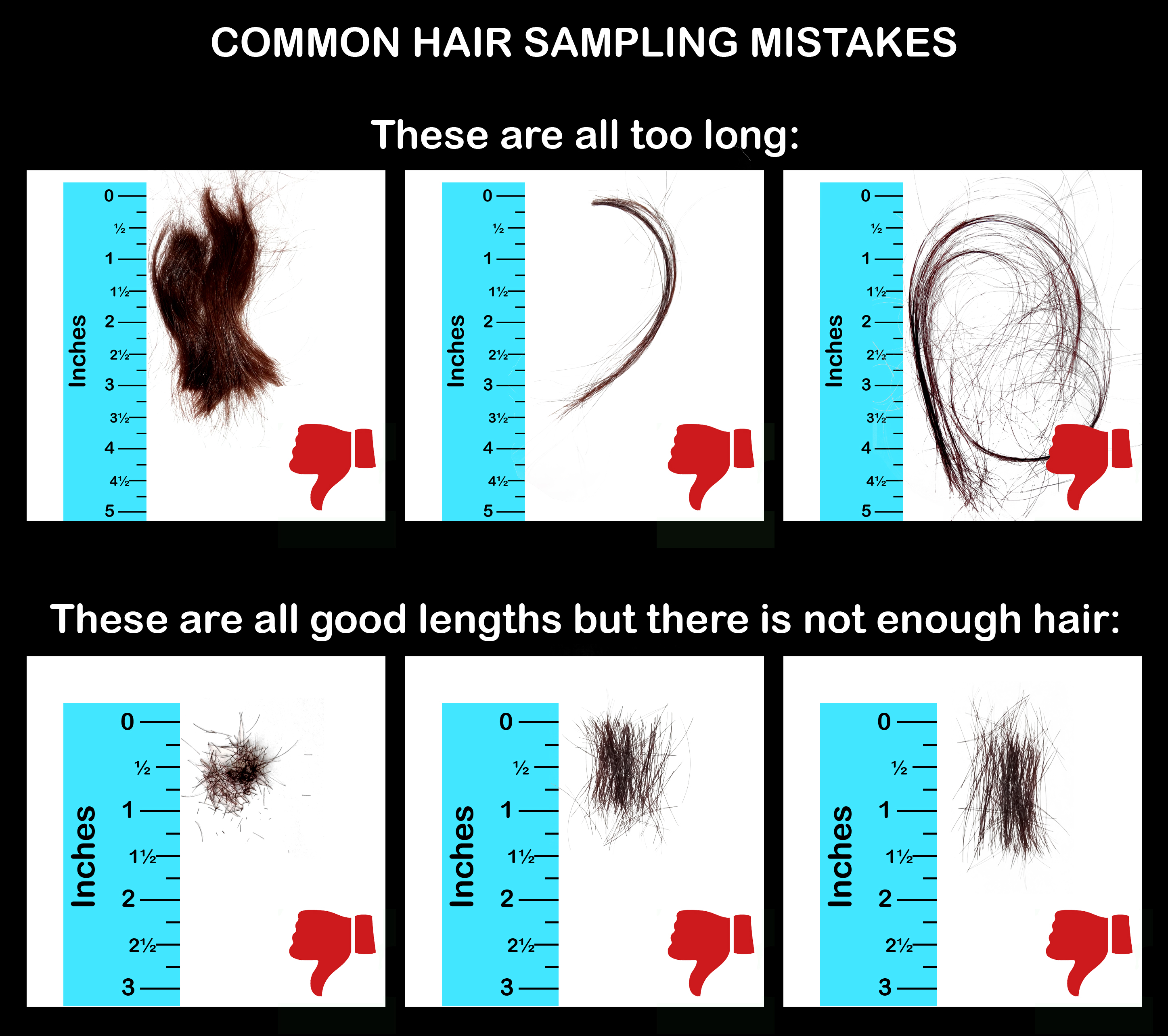 Incorrect Hair Sample Examples