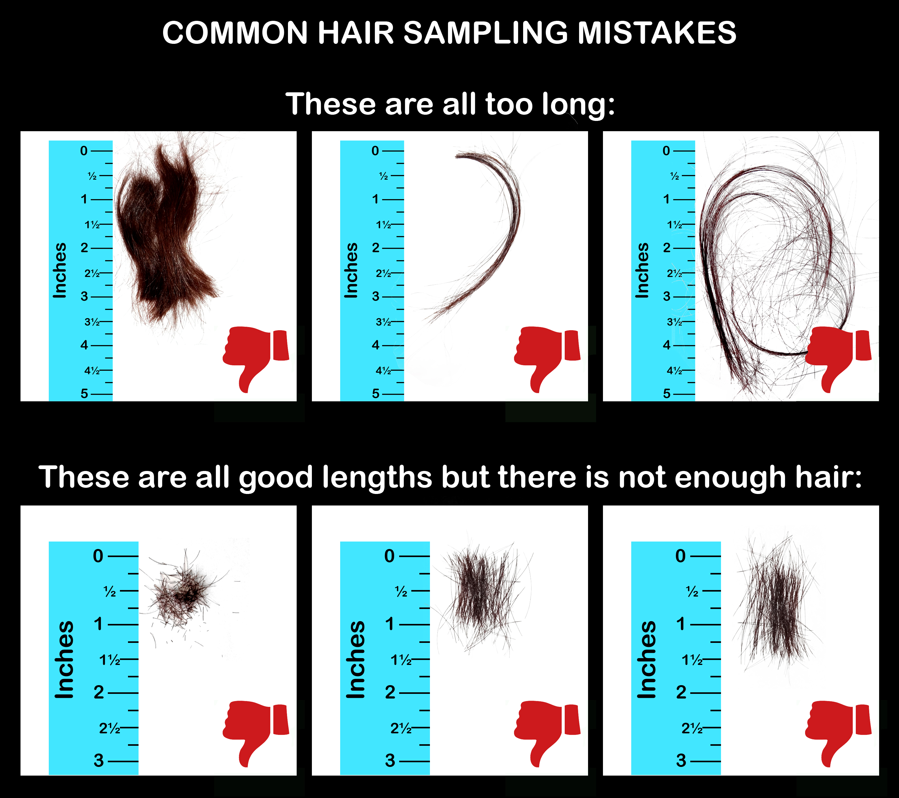 How To Cut A Hair Sample For Analysis Moses Nutrition