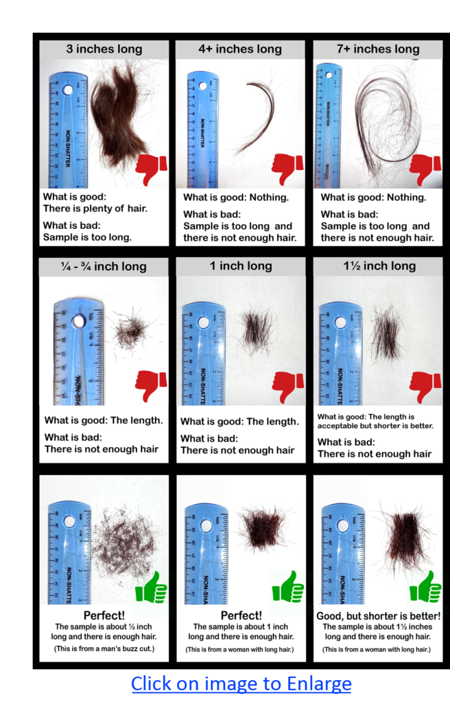 Hair-Sample-Examples | Moses Nutrition